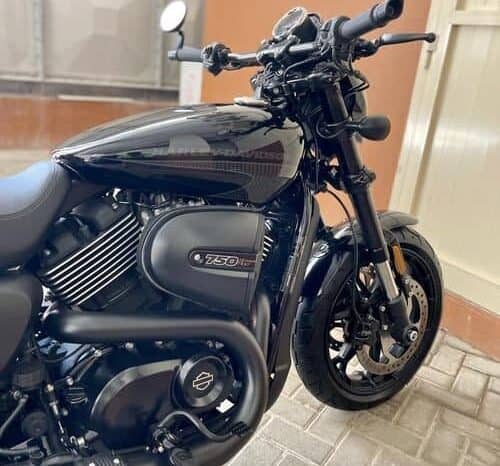 
								2019 Harley-Davidson Street Rod (XG750A) full									